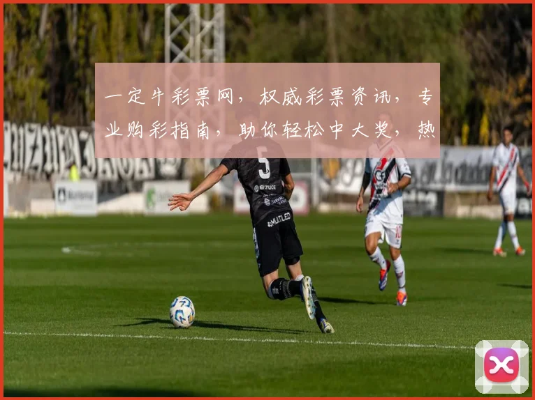 一定牛彩票网，权威彩票资讯，专业购彩指南，助你轻松中大奖，热门玩法一网打尽