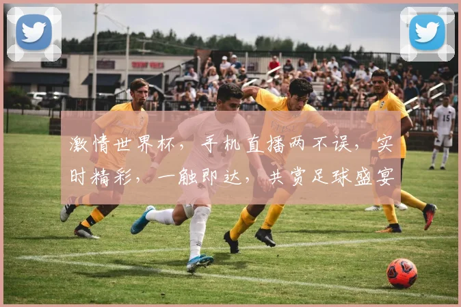 激情世界杯，手机直播两不误，实时精彩，一触即达，共赏足球盛宴