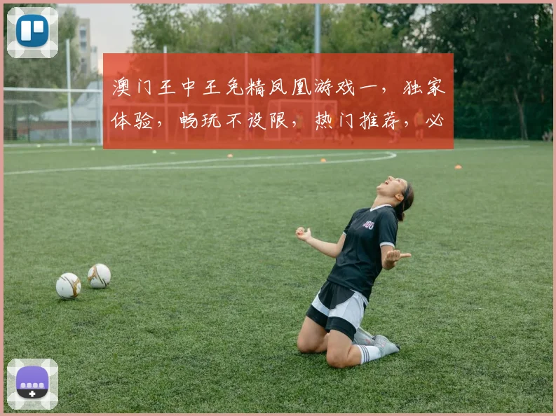 澳门王中王免精凤凰游戏一，独家体验，畅玩不设限，热门推荐，必玩首选