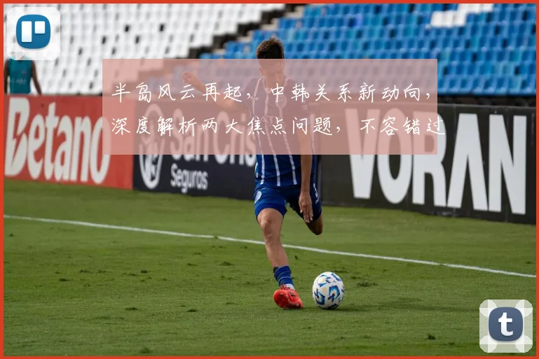 半岛风云再起，中韩关系新动向，深度解析两大焦点问题，不容错过
